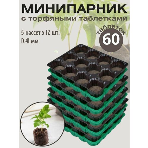 ������ ������ ���������� ��� ������� � �������, �������� �������� 60 ��. ����