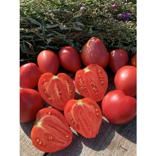 ������ ������ ������������� ������ ������ ���� ������� ������� ����