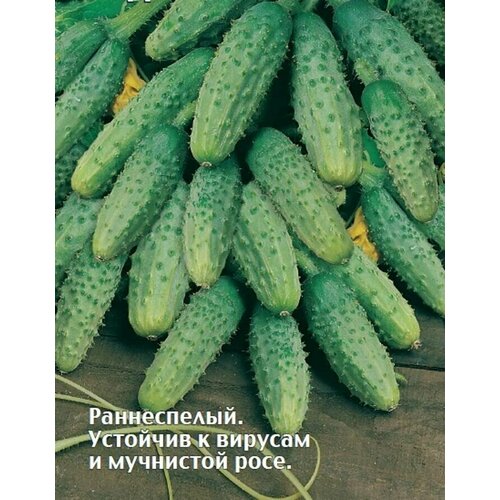 ������ ������ ������������� ������ ������ F1 ������ ����