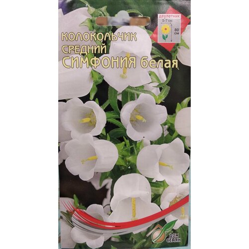 ������ ������ ����������� ����������� �������� �����, 180 ����� ����