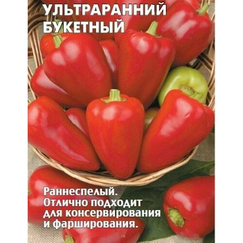 ������ ������ ������������� ������ ����� �������� ������������ �������� ����