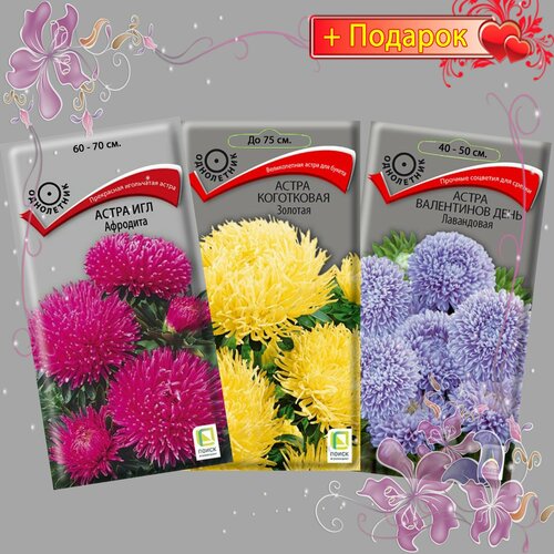 ������ ������ ����� ����� ������ �����, ��� ��������, ���������� �������, ���������� ���� ���������� 3��. ����