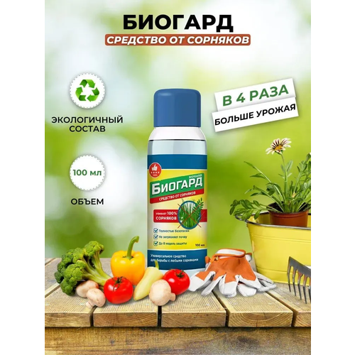 ������ ������ ������� 100 �� (����� �� 2 ���������) ����