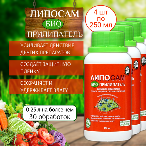 ������ ������ ����������� ������� 250 ��, 4 �� ����