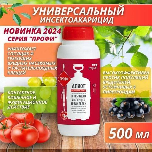 ������ ������ ����� ����� ������������� ���������� �� �������� � ������� ���������� 500 �� ����