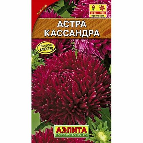 ������ ������ ������ ����� ���������, ����������, (������) 0,2� ����