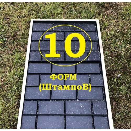 ������ ������ ������ ��� ������� ������� ��������� (10��) ����