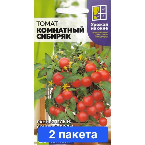 ������ ������ ������ ������ ������ ����� 