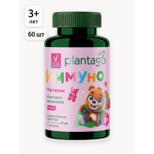 ������ ������ �������� Plantago 