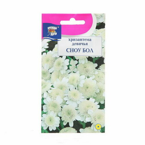 ������ ������ ������ ������ ���������� ������� 