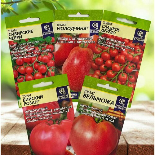 ������ ������ ������ ������ ���� �������� ������ ������� ����� 5 �������� ����