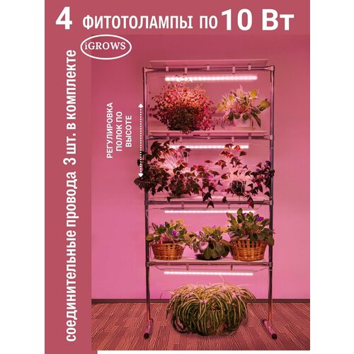 ������ ������ ������� ��� �������� � ������ 4 ����� � ����������������� 10 �� c ��������������� ��������� ����