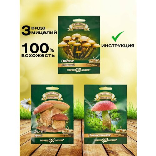 ������ ������ ����� ��� ����������� ������, ������ ������, �������, �������� �������� ����