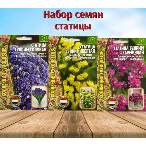 ������ ������ ������ ���������� ������ ������� �������, ������, ���������. ���������. ����� 3 �������� ����