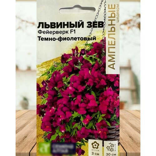 ������ ������ ������ ���������� ������ ������� ��� ��������� ��������� �����-���������� ����