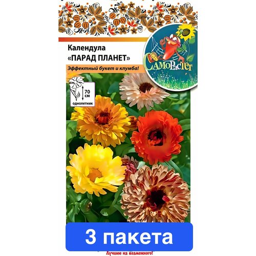 ������ ������ ����� ��������� ����� ������ ����� 3 ������ ����