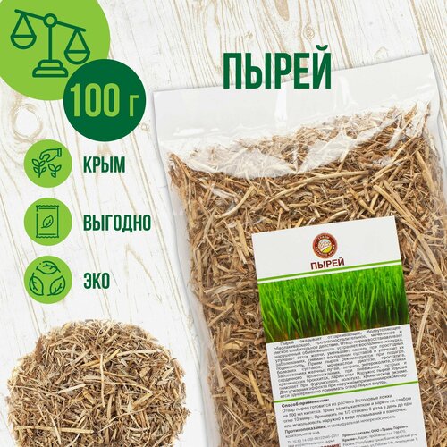 ������ ������ ����� ������ �������, 100� ����