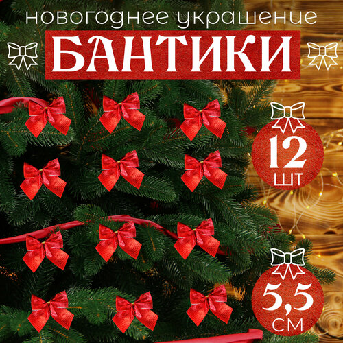 ������ ������ ����� �� ���� ������� 12�� 5,5�� ����