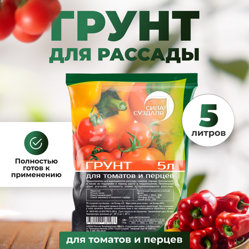 ������ ������ ����� ��� ������� ������ ���� �������/�������������/ �� ������ ��������, 5 � ����