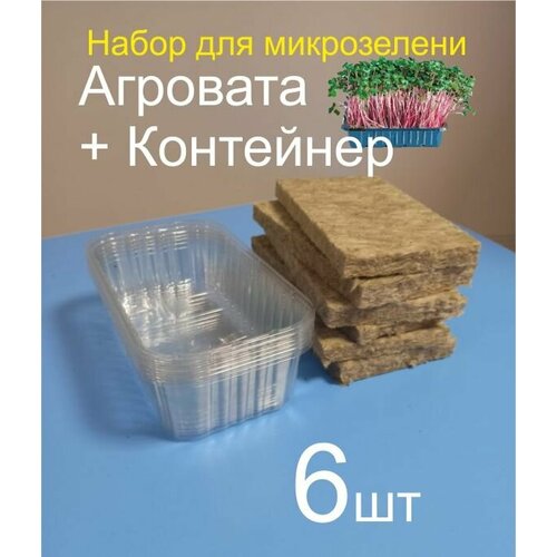 ������ ������ ����� �������� 6�� � ����� 6�� ��� ����������� ����������� . ����