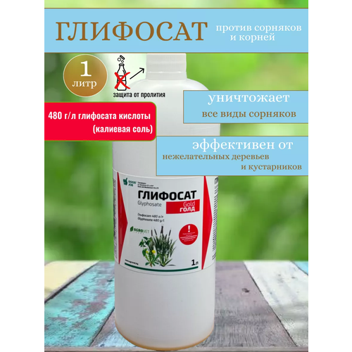 ������ ������ �������� �������� �� �������� �������� ����