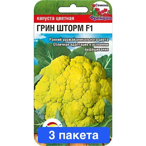 ������ ������ ������ ������ ��������� ��� 