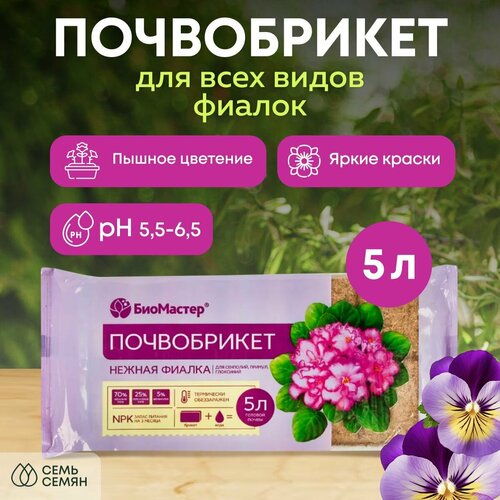 ������ ������ ����������� ��������� 