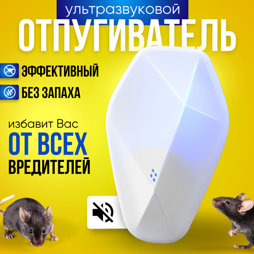 ������ ������ ������������ ����� � ���� ��������������, ������������ �������� ����