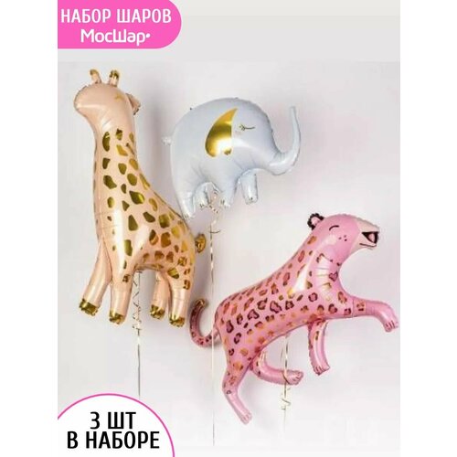 ������ ������ ����� �������������� ����� �������� ������ ����