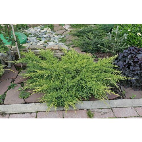 ������ ������ ������������ ������� ���� ���� ����