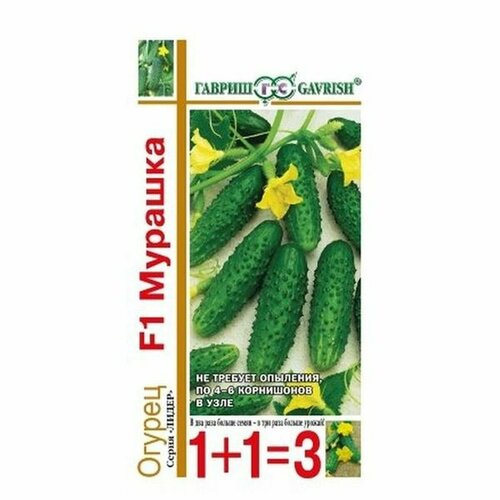 ������ ������ ������ ������ ������� F1 ����, �����������, (������) 20�� ���1+1 ����