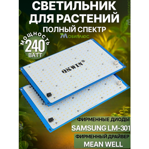 ������ ������ ���������� ��� ��������, ���������-quantum board/ ������� ����, 240 ����, Mean Well, ����� Samsung LM-301B, 288*2 ��. ����