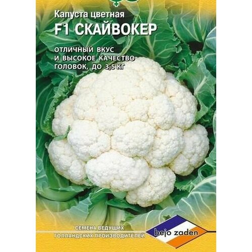 ������ ������ ������ ������� ������� F1 ��������� 10 ��. ����