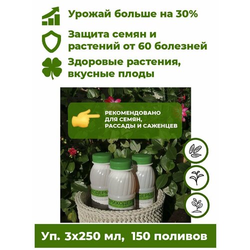 ������ ������ ���������� ���������� - ����������� ������ 3 ���. �� 250�� ����������� ��������� ��� �������� ������ ����. ����� �������� �� ����� 60 ��������, �������� ����������� �� 30%. ����