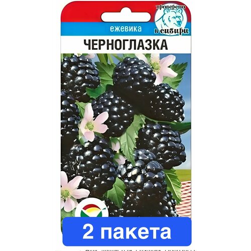 ������ ������ ������ ������ ��������� ��� 