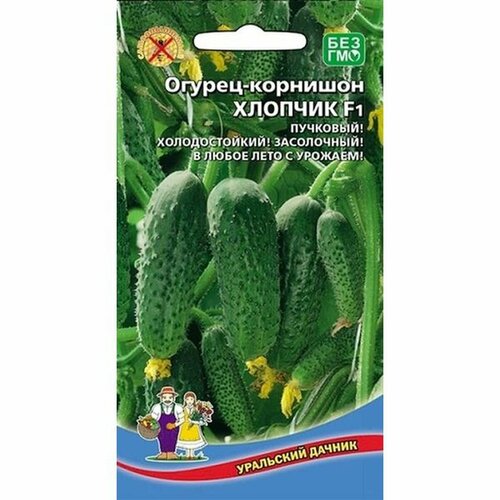 ������ ������ ������ ������ ������� F1 ����. (�����������) 10�� ����