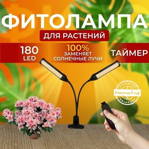 ������ ������ ��������� ��� ����������� �������� ������� ������ ������ �������������� ������������ ��� ������ �� ������ ������� � ��������� � ��������, 2 ����� ����