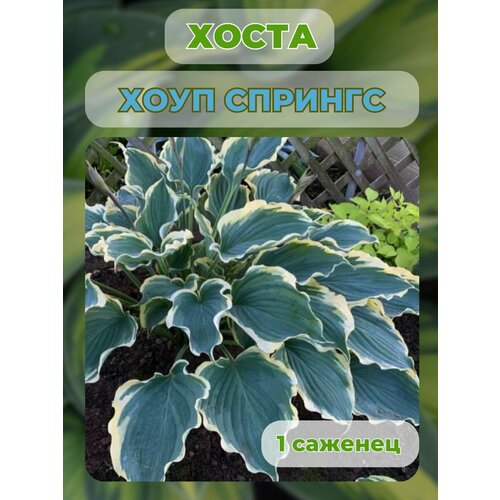 ������ ������ ����� �������, ����� ��������� 1 ����� ����