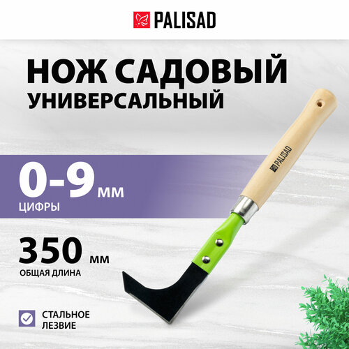    Palisad 70350 , ,   62324   -     , -,   