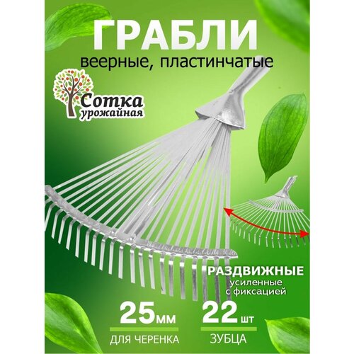 ������ ������ ������ ������� ������� 22-����� ������������ ��������� ���������� �������� 