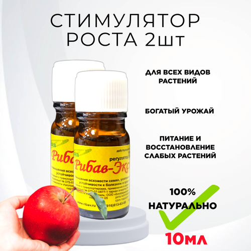 ������ ������ ��������� ����� ������ ��������� ���������� ����� �������� 10 ��, 2 �� ����