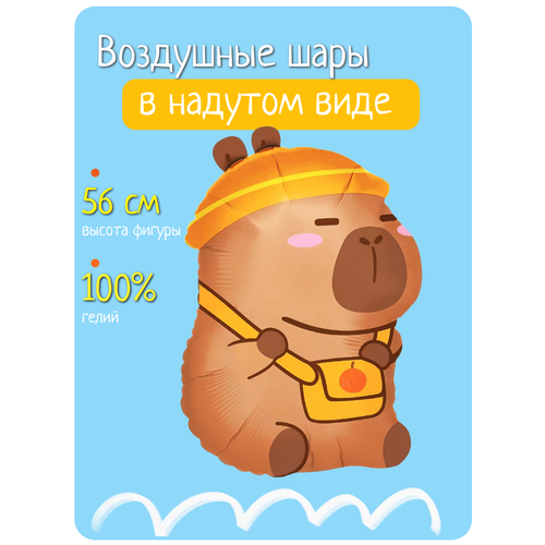 ������ ������ ��������� ��� � ������ �� ���� ��������, �������������� ����� �������� � �������� ����