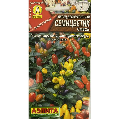 ������ ������ ����� ������������ ������ ���������� (������), 1 �����, ������ 20 ��, ������ ����