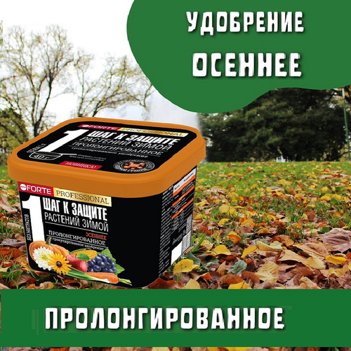 ������ ������ ��������� ����������� ��������������� ������� Bona Forte, 1� ����