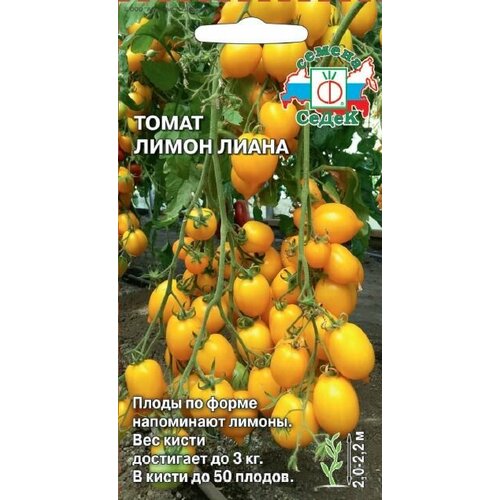 ������ ������ ����� ����� ����� (3 ��������), ������ ����