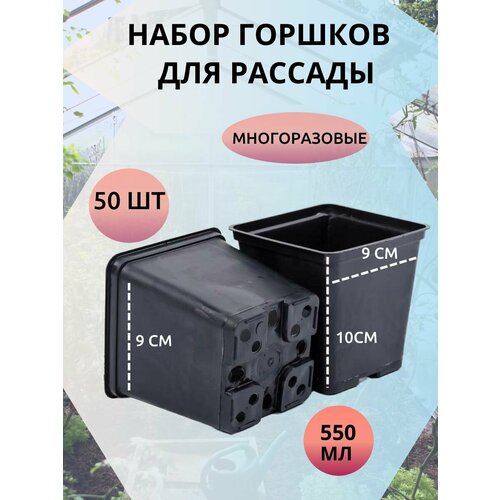 ������ ������ ������ ��� ������� ����� - 50 ���� ����