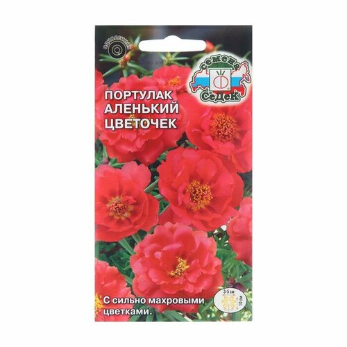 ������ ������ ������ ������ �������� 