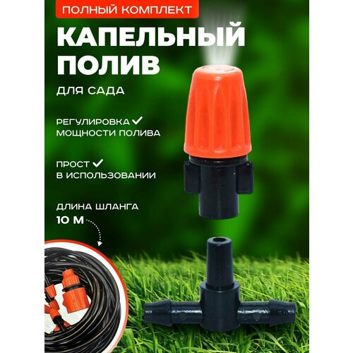 ������ ������ ��������� ����� ��������� ������������������ 10������ ����