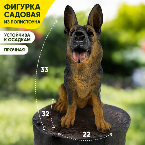 ������ ������ ������� ������� ��� ����, ���� � ������� �� ����� '������ ������� 33x22x32 ��'. ����