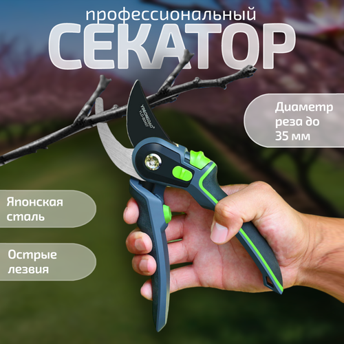 ������ ������ ������� ����������������, ������� �������� ��� �������� � ������ ����